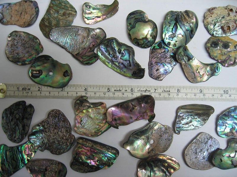Ocean Shell Studios. Abalone (PÄua) Shell Pieces-7.05oz Pack-for Crafts, Jewelry Making, Resin Art, Inlay, Home Decorations, Fishtank Supplies, DIY Projects - Satin,Large-1.59"-2.55"- 7.05oz (200grams) - Image 3